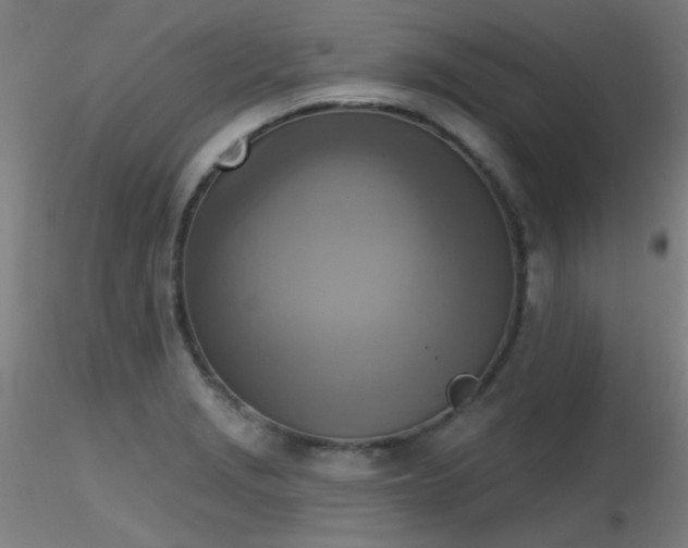 X0000116831229200912181426