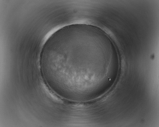 X0000116831230200912181426