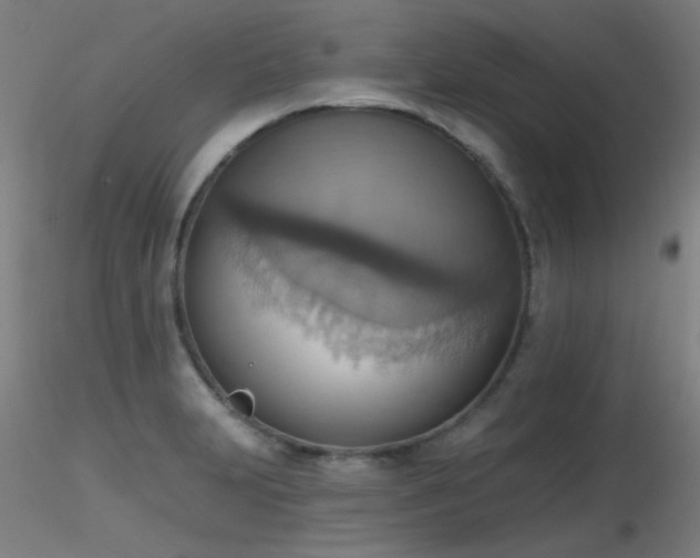 X0000116831231200912181426