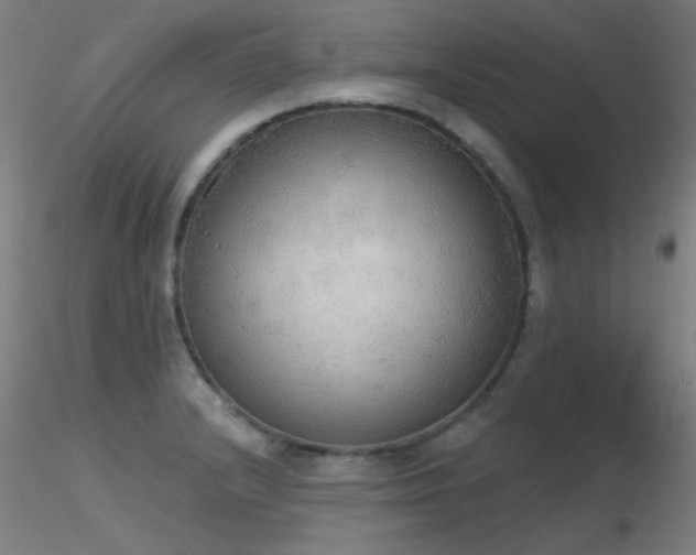 X0000116831232200912181426