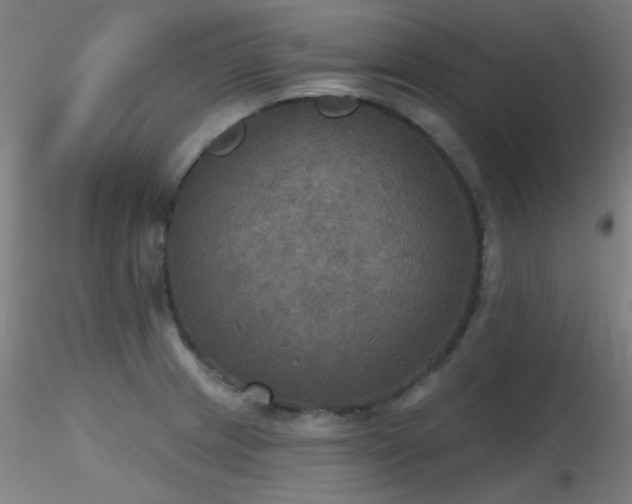 X0000116831233200912181426