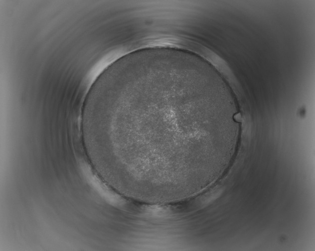 X0000116831234200912181426