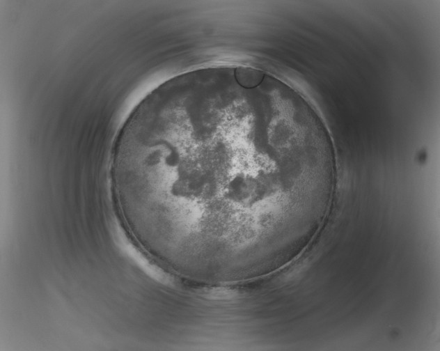 X0000116831235200912181426