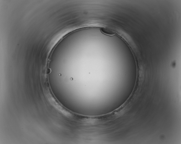 X0000116831236200912181426