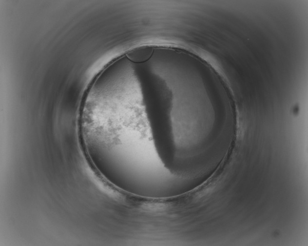 X0000116831237200912181426