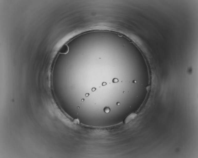 X0000116831238200912181426