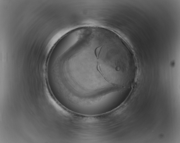 X0000116831239200912181426
