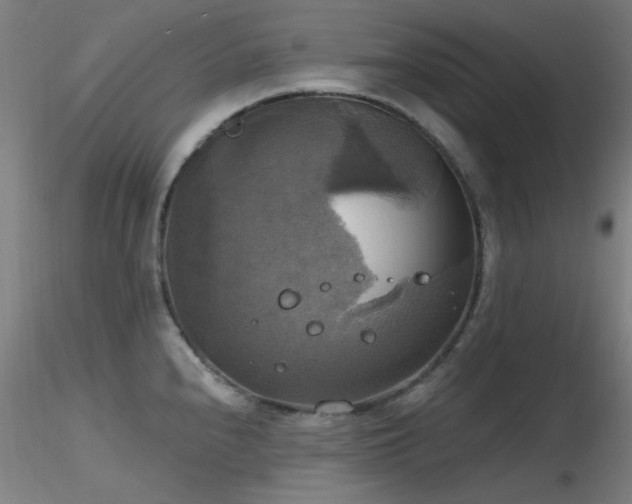 X0000116831240200912181426