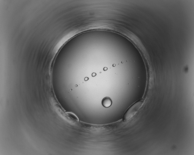 X0000116831242200912181426