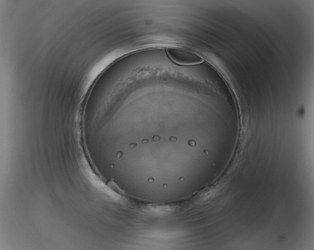 X0000116831243200912181426