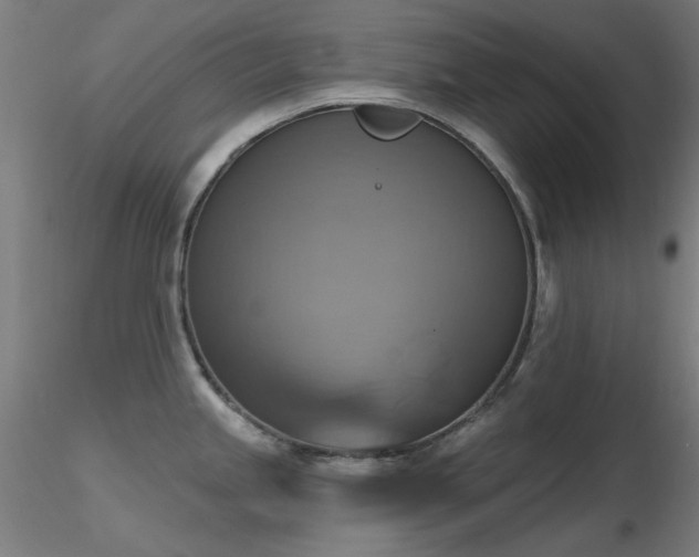 X0000116831245200912181426