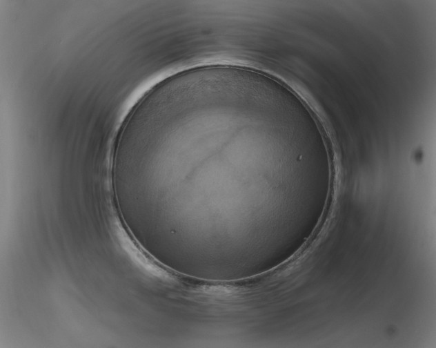 X0000116831246200912181426