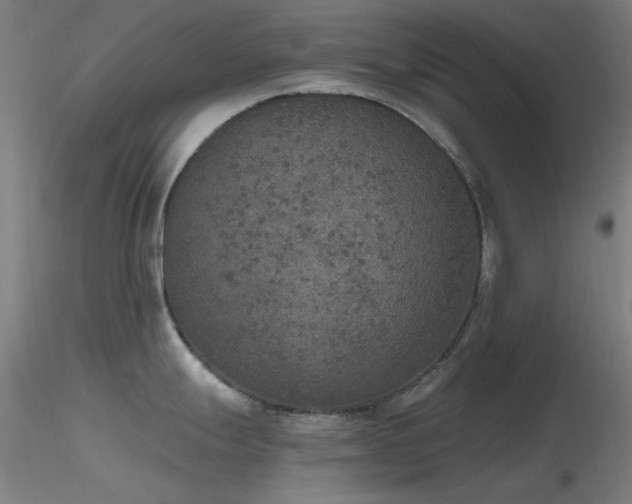 X0000116831247200912181426