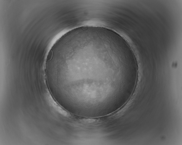 X0000116831248200912181426