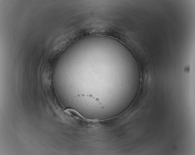 X0000116831250200912181426