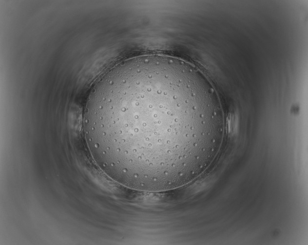 X0000116831251200912181426