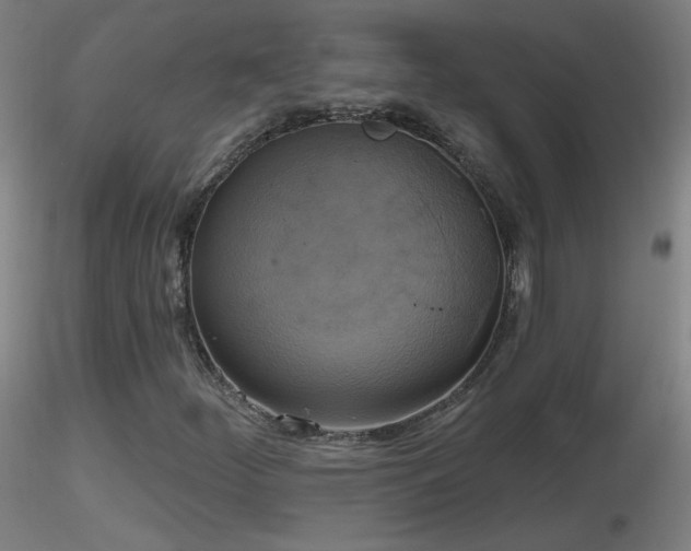 X0000116831252200912181426