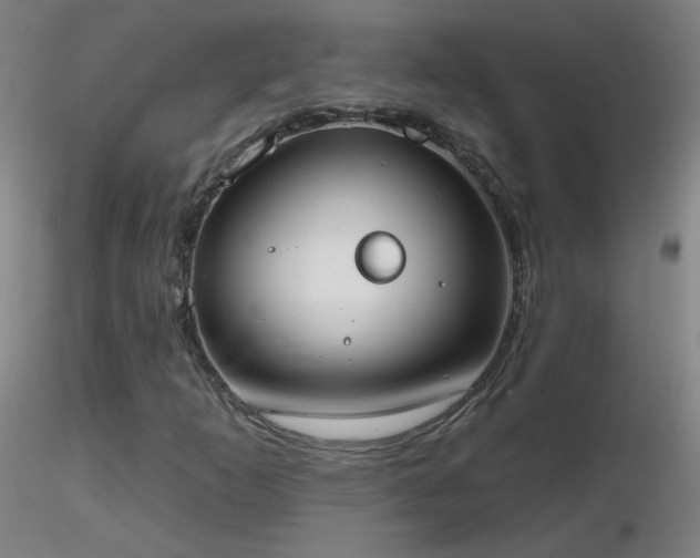 X0000116831253200912181426