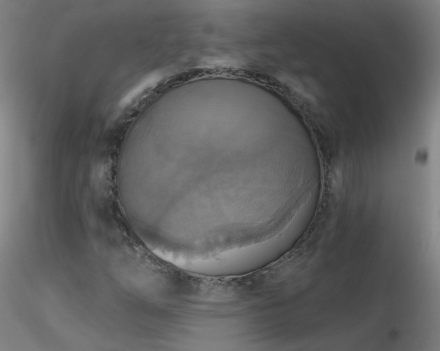 X0000116831254200912181426
