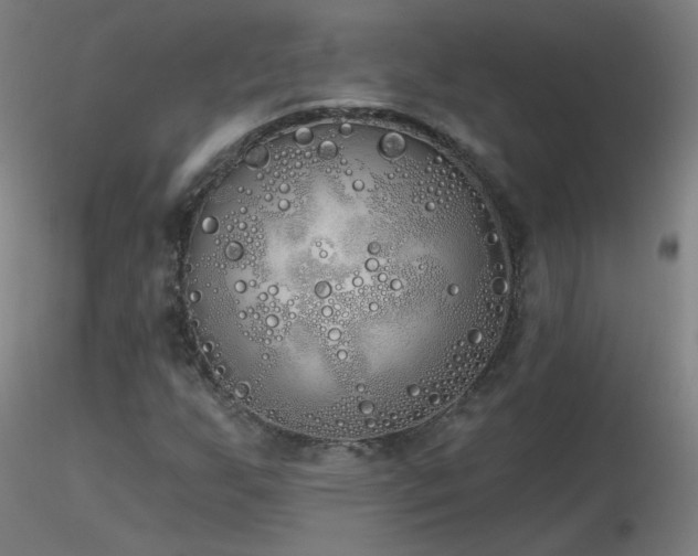 X0000116831255200912181426