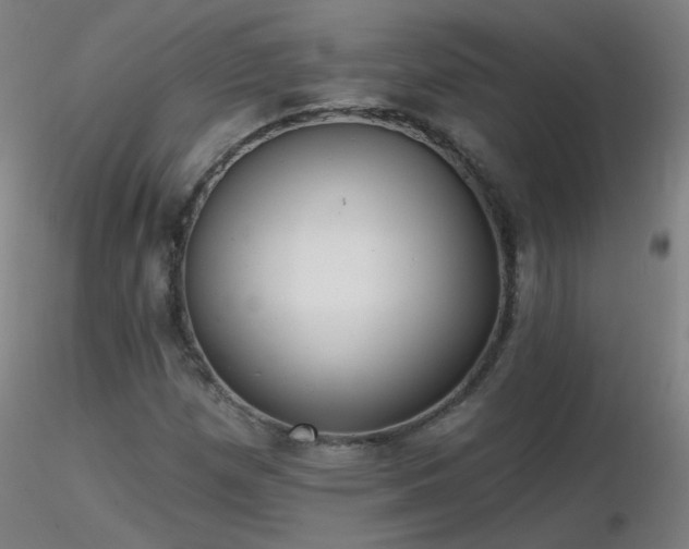X0000116831257200912181426