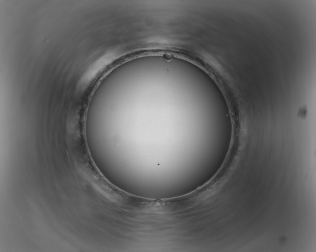 X0000116831259200912181426