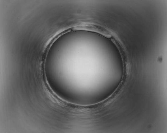 X0000116831260200912181426