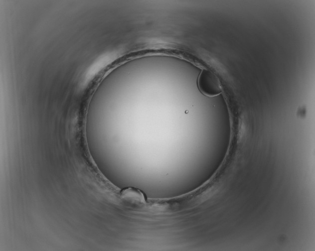 X0000116831261200912181426