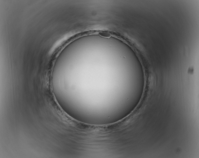 X0000116831262200912181426