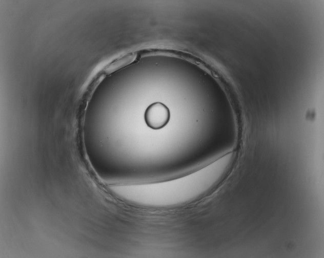 X0000116831264200912181426
