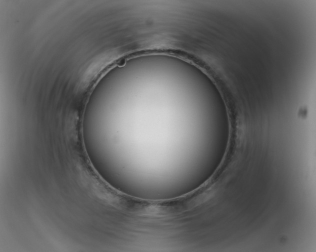 X0000116831265200912181426