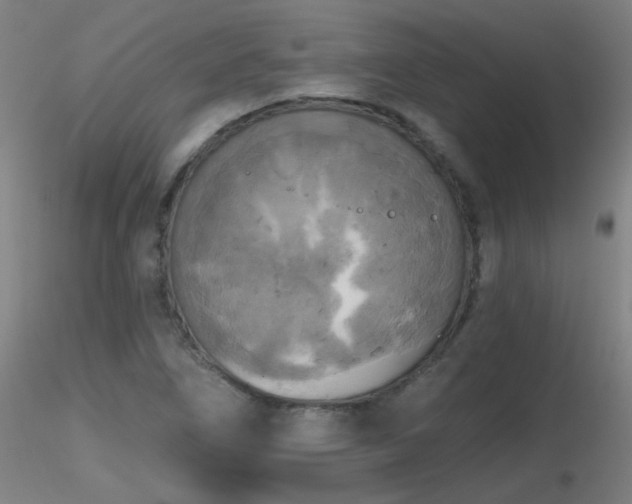 X0000116831266200912181426