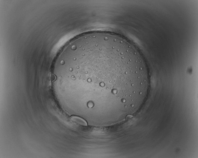 X0000116831267200912181426