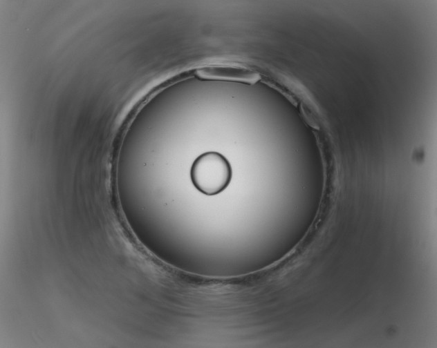 X0000116831268200912181426