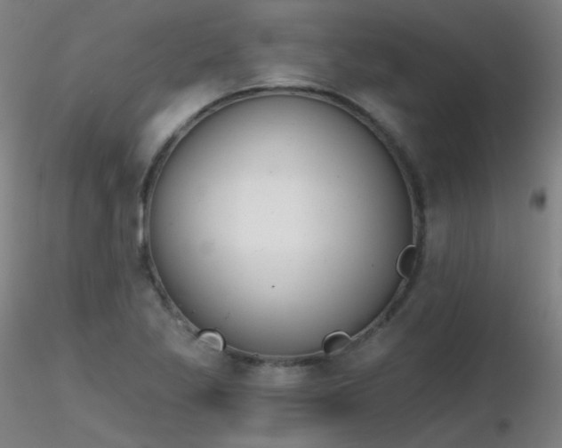 X0000116831269200912181426