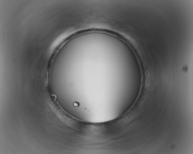 X0000116831271200912181426