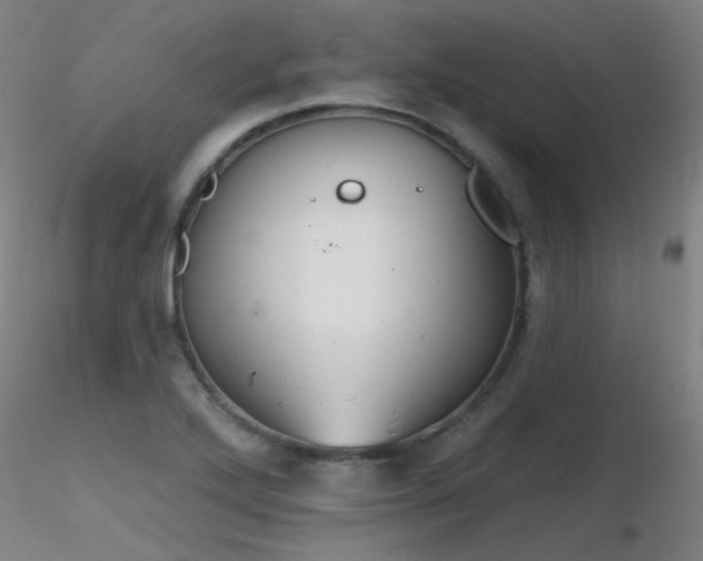 X0000116831272200912181426