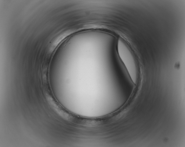 X0000116831273200912181425