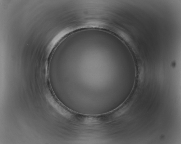 X0000116831275200912181425