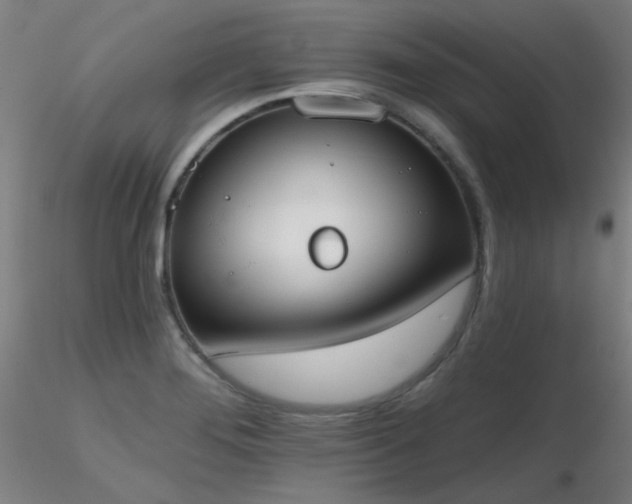 X0000116831276200912181425