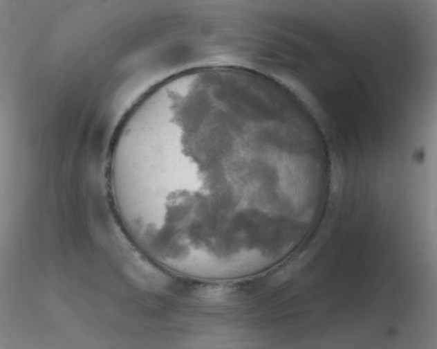 X0000116831278200912181425