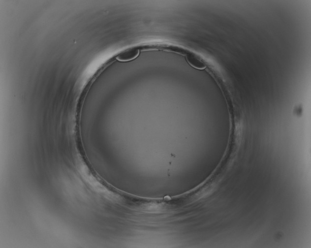 X0000116831279200912181425