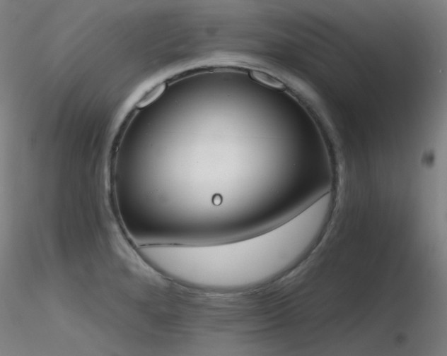 X0000116831280200912181425