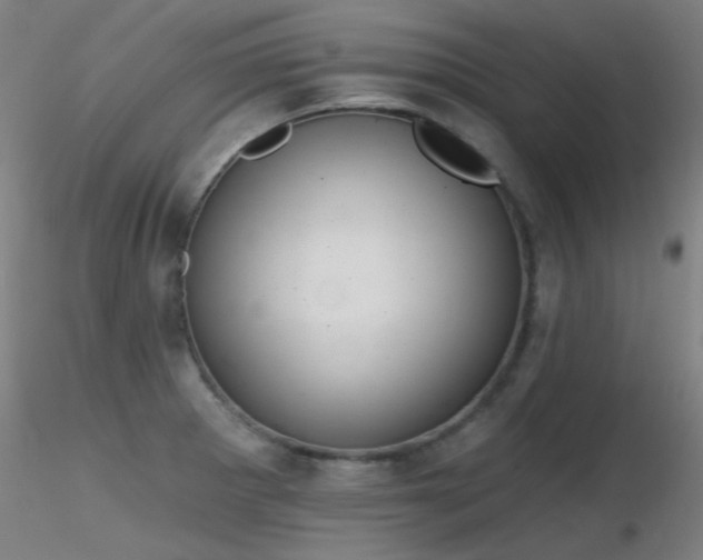 X0000116831281200912181425
