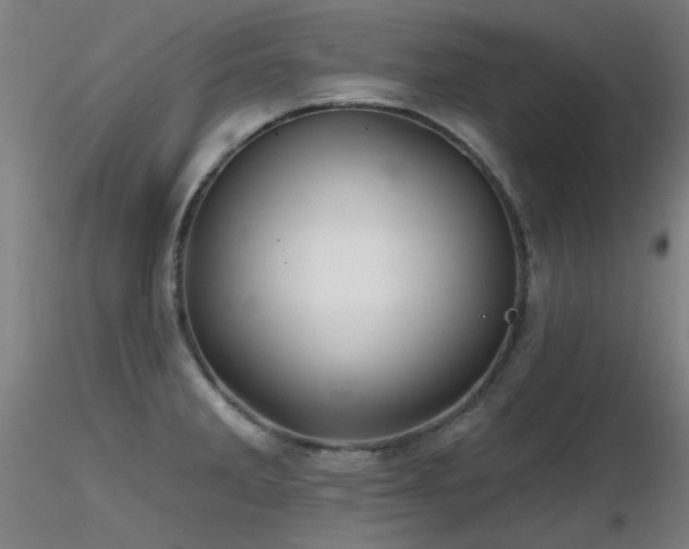 X0000116831285200912181425