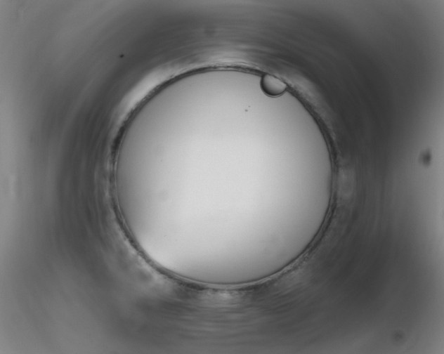 X0000116831286200912181425