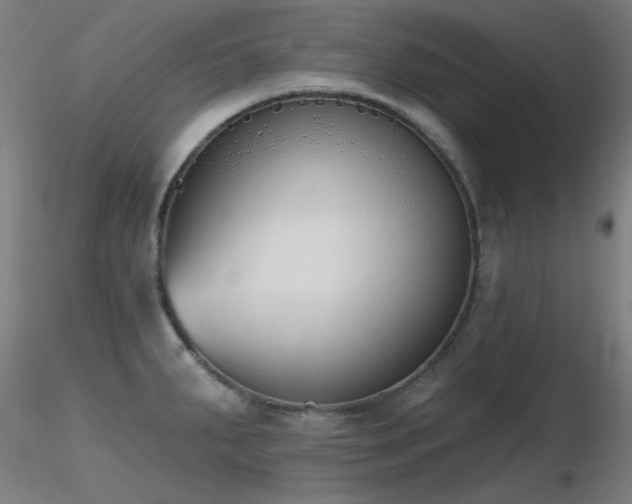 X0000116831287200912181425