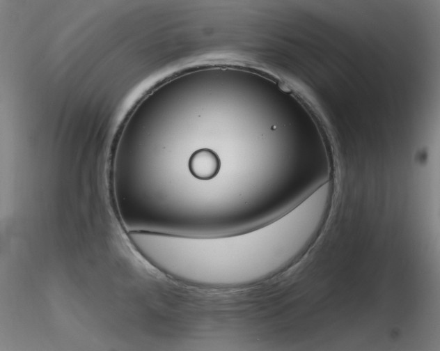 X0000116831288200912181425