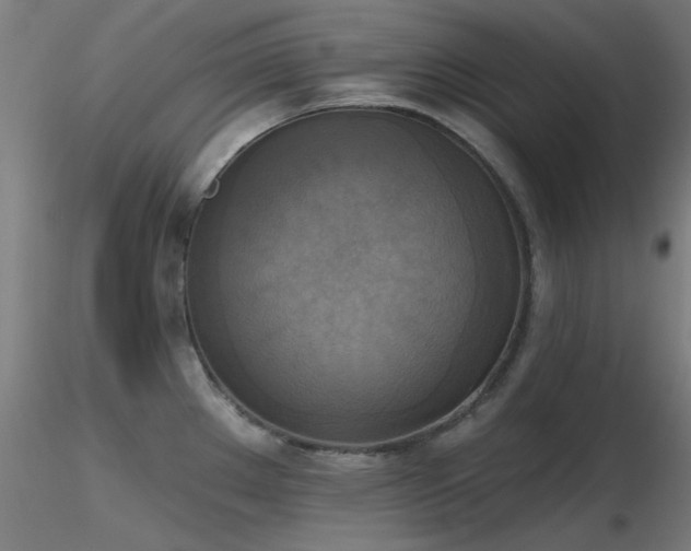 X0000116831289200912181425
