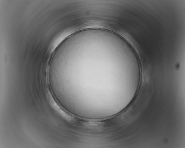 X0000116831290200912181425
